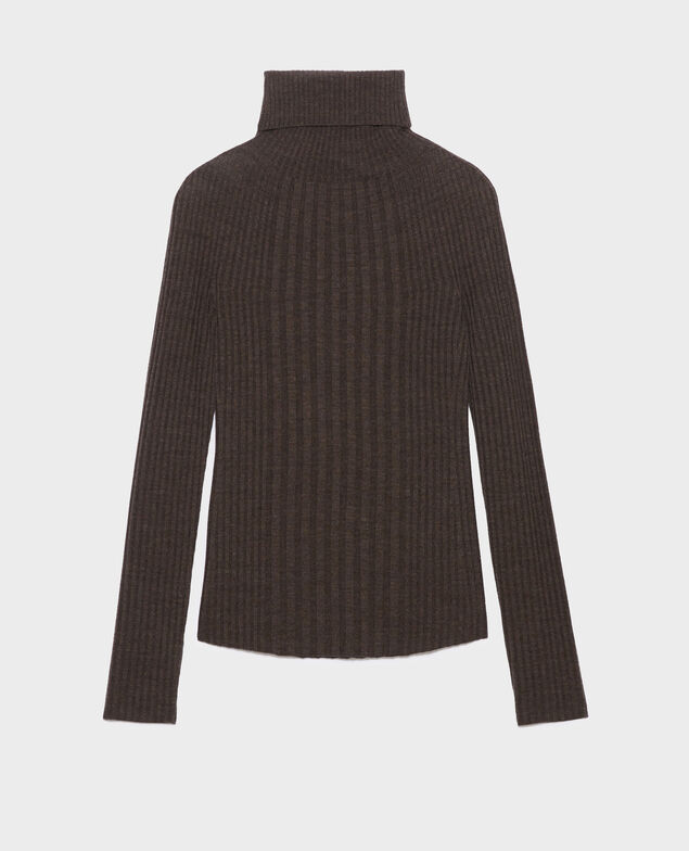 Pullover mit Rollkragen aus Merinowolle A340 brown chiné knit 3wju078w20