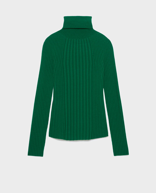 Pullover mit Rollkragen aus Merinowolle A541 bright green knit 3wju078w20