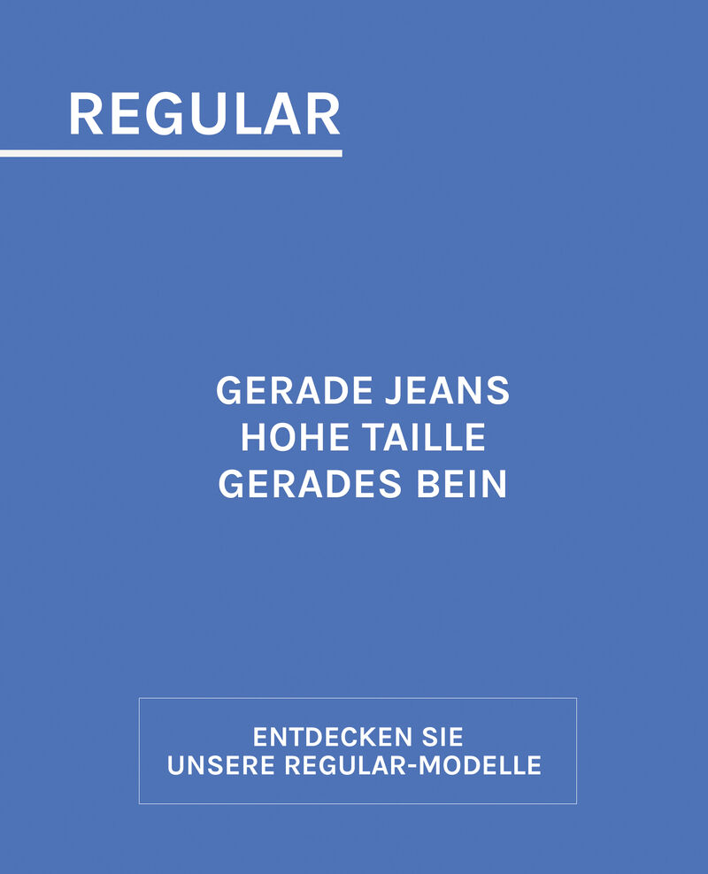 FR_Denim_Regular 