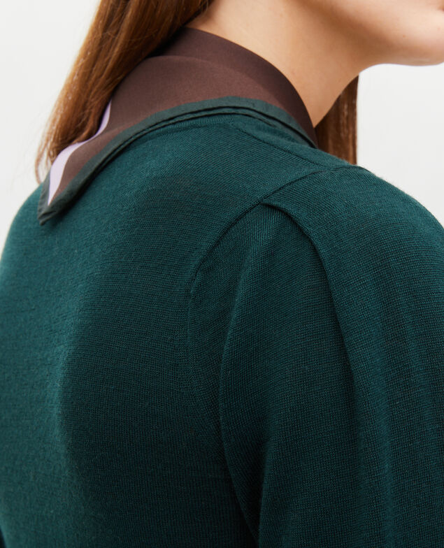 Pullover aus Merinowolle mit Rundhalsausschnitt Scarab