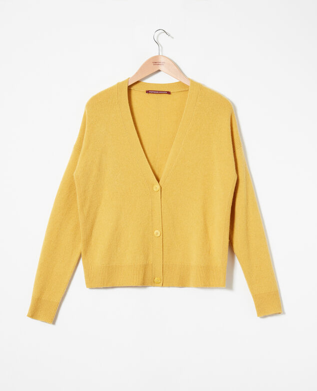 Cardigan aus 100 % Kaschmir Sauterne