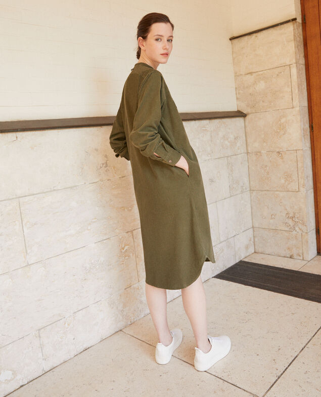 Samtkleid mit Mao-Kragen Grün
