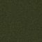 U570 OLIVE