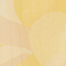 H413 ANEMONE YELLOW