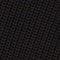 H091 BLACK BEAUTY