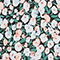 7300D 119 PRINT BLUE