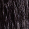H091 BLACK BEAUTY
