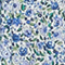 7050 92_PRINT_BLUE