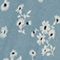 K610 DAISY BLUE