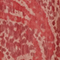Langarmbluse A182 print ikat wine 3wbl149p10