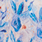 H600 WINDOW BLUE