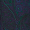 Fließende gemusterte Bluse A684 paisley navy 3wbl066v02